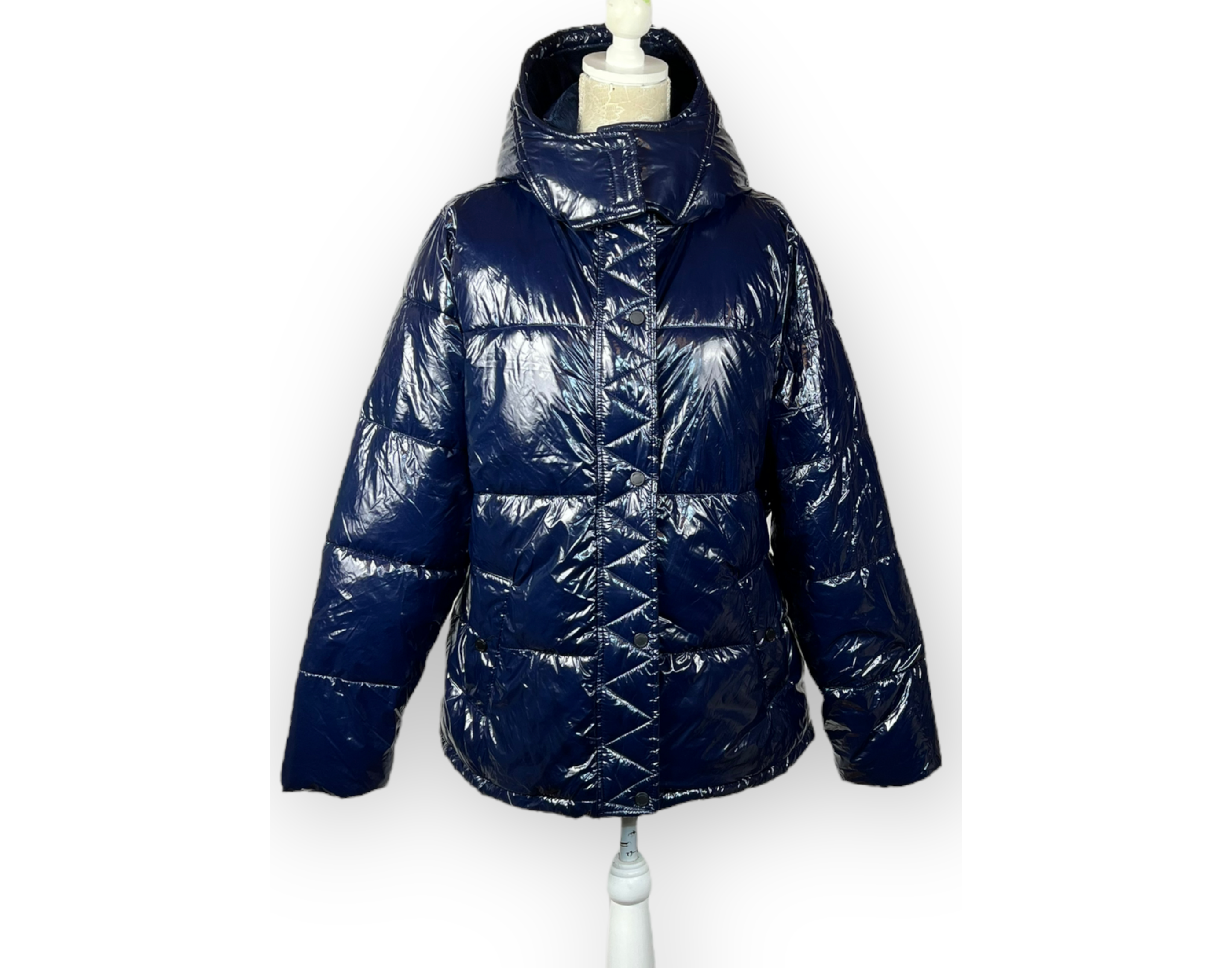 Hollister kabát (XL)